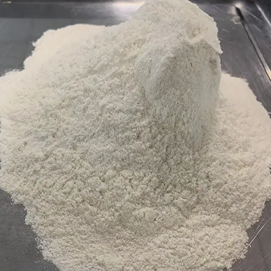 Vital Wheat Gluten الغلوتين القمح الحيوي