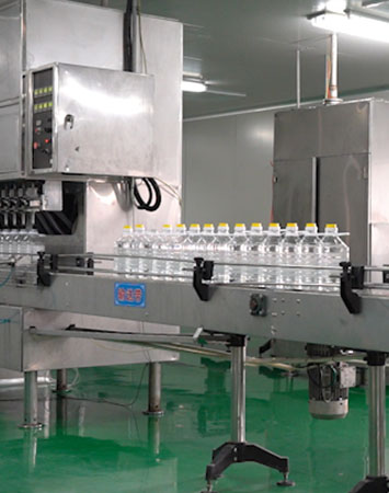 خط إنتاج القمح وفول الصويا