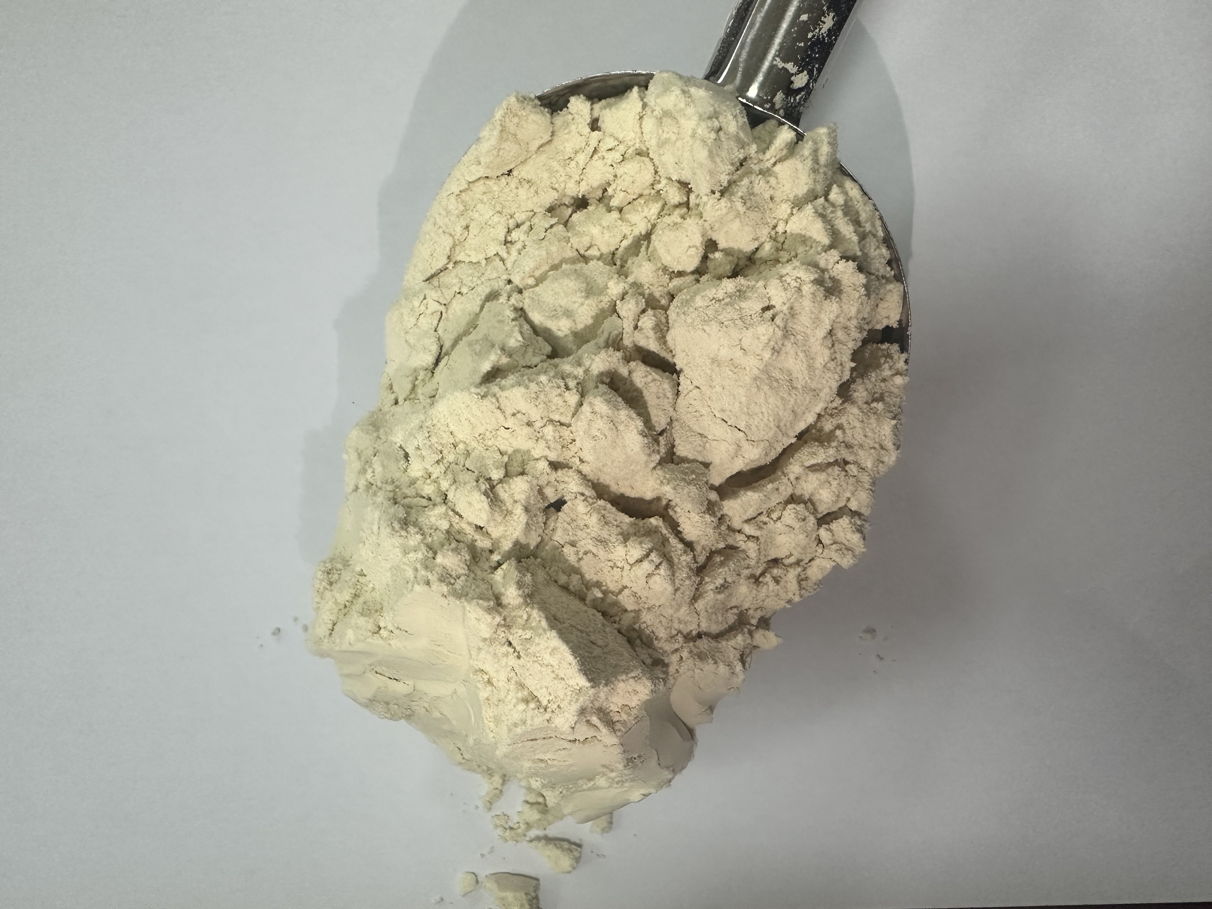 بروتين القمح المتحلل