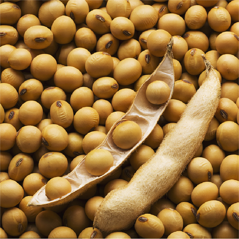 ما هي كمية البروتين الموجودة في 100 جرام من لحم الصويا؟