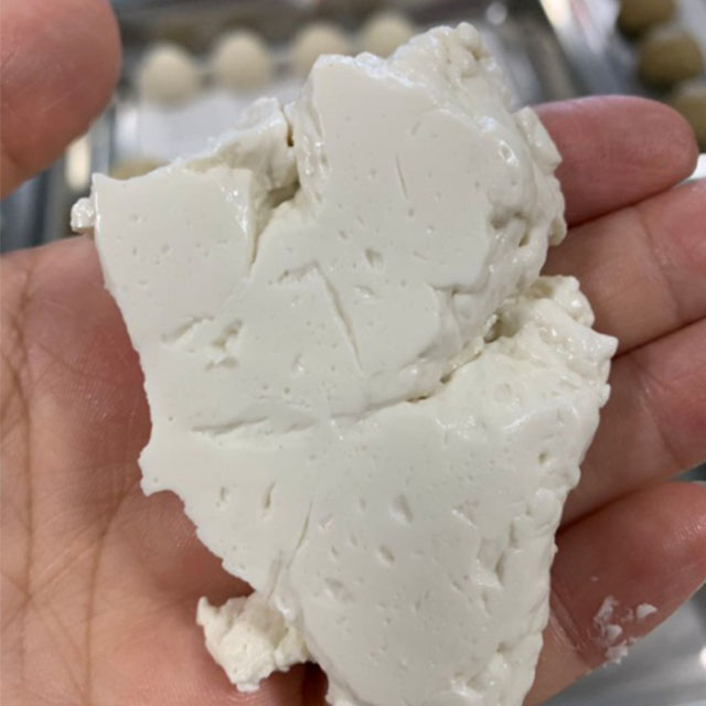 عملية تصنيع بروتين الصويا