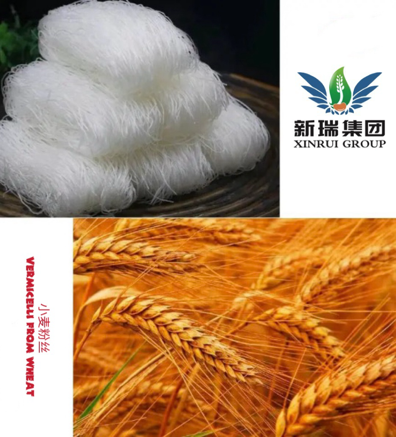 الشعيرية الحريرية 